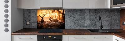 Cooker splashback East deer