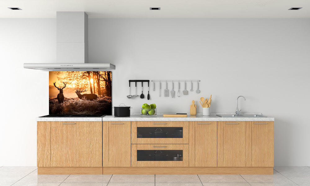 Cooker splashback East deer