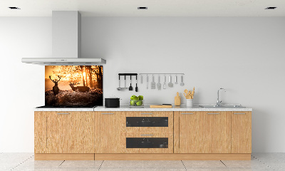 Cooker splashback East deer