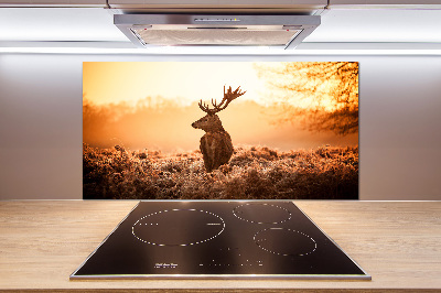 Cooker splashback Deer sunrise