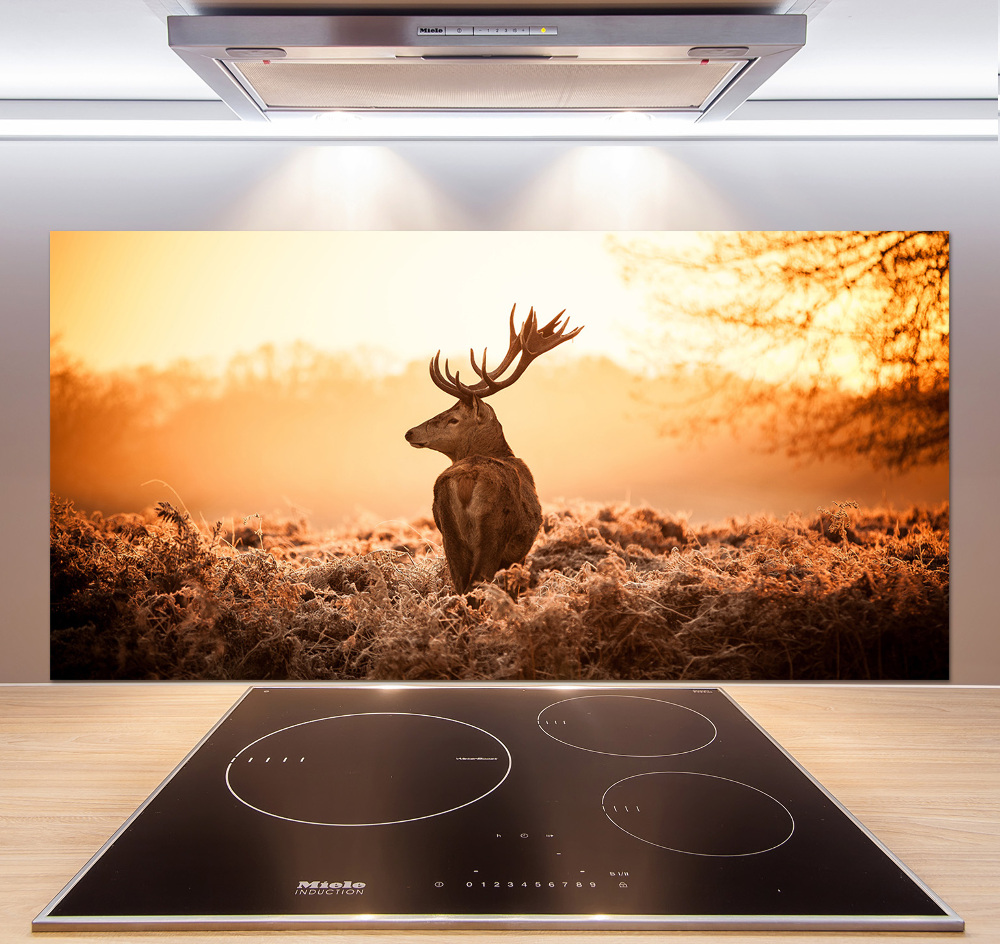 Cooker splashback Deer sunrise