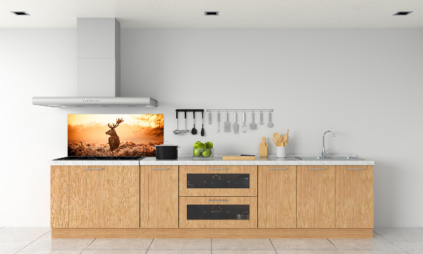 Cooker splashback Deer sunrise