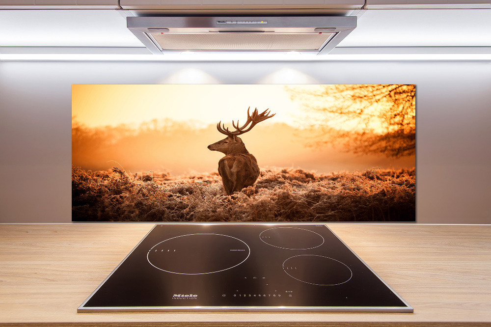 Cooker splashback Deer sunrise