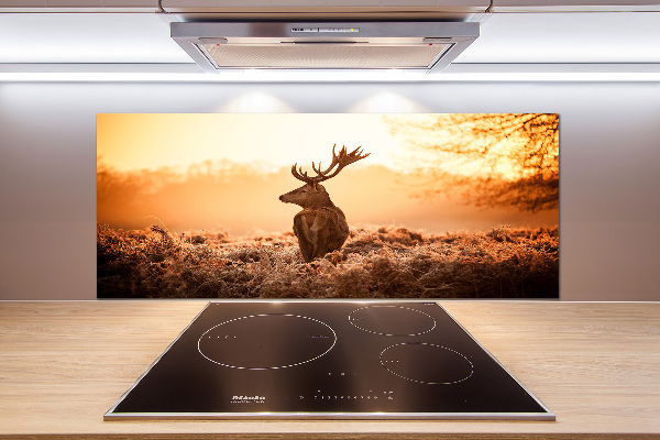 Cooker splashback Deer sunrise