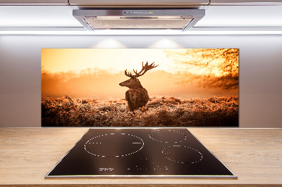 Cooker splashback Deer sunrise