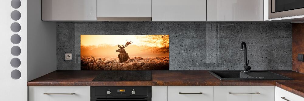 Cooker splashback Deer sunrise