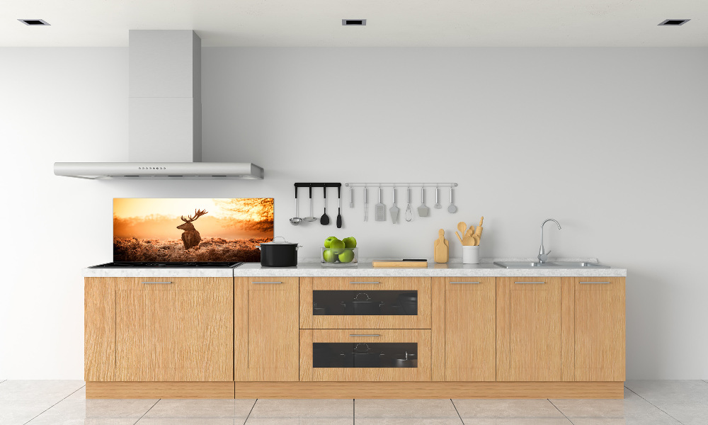 Cooker splashback Deer sunrise