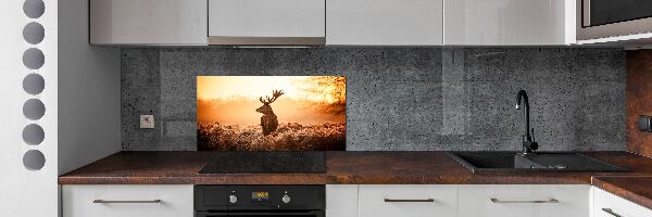 Cooker splashback Deer sunrise