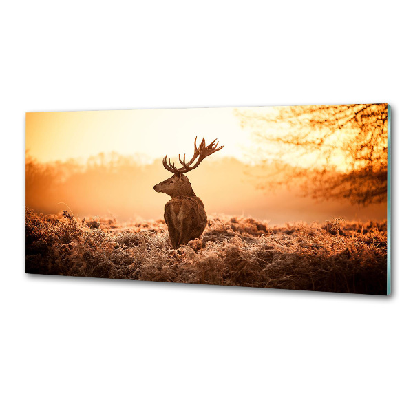 Cooker splashback Deer sunrise