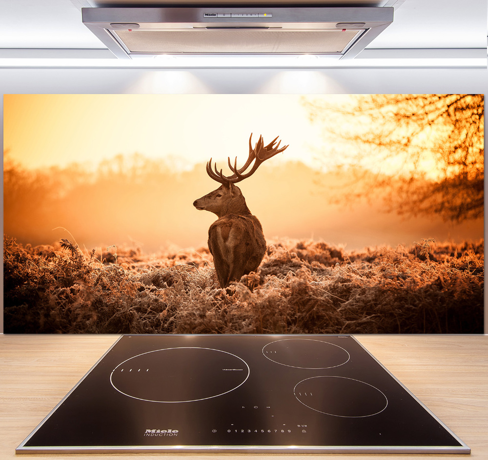 Cooker splashback Deer sunrise