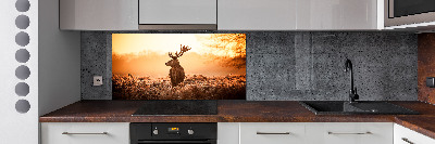 Cooker splashback Deer sunrise