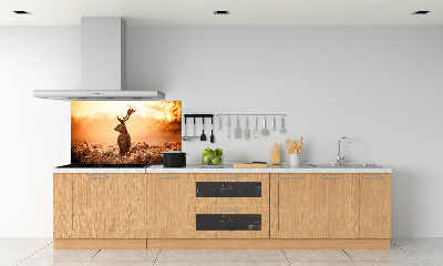 Cooker splashback Deer sunrise