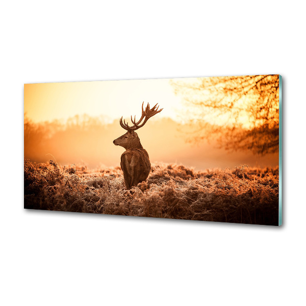 Cooker splashback Deer sunrise