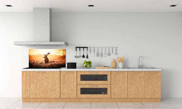 Cooker splashback Deer sunrise