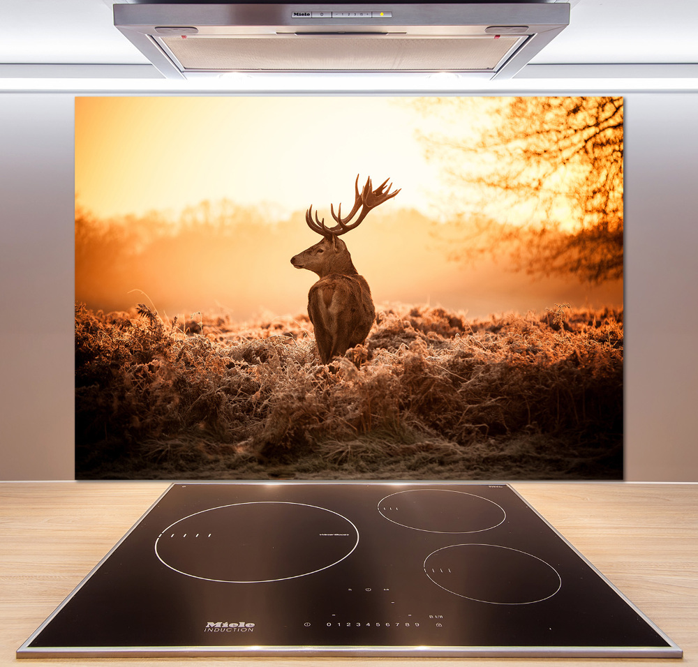 Cooker splashback Deer sunrise