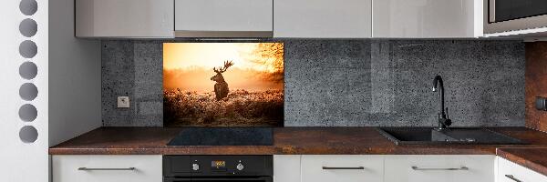 Cooker splashback Deer sunrise