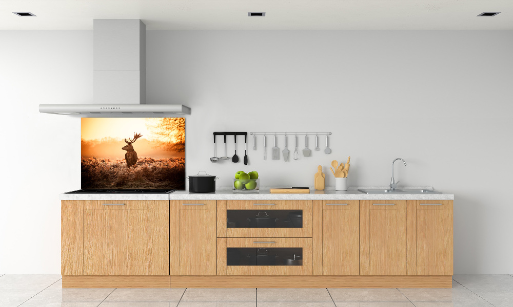 Cooker splashback Deer sunrise