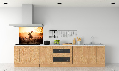 Cooker splashback Deer sunrise