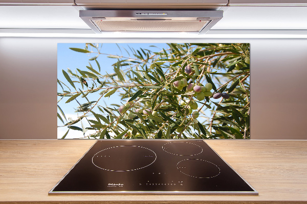 Cooker splashback Olive tree