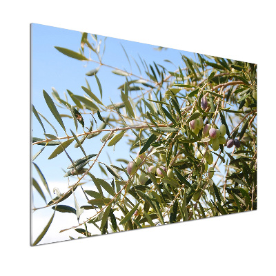 Cooker splashback Olive tree