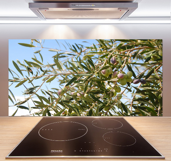 Cooker splashback Olive tree