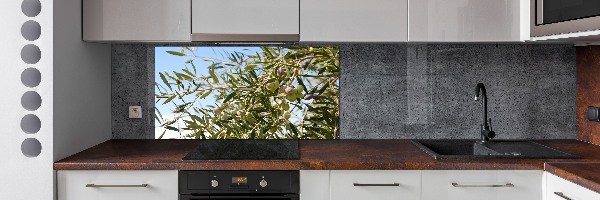 Cooker splashback Olive tree