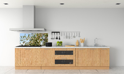 Cooker splashback Olive tree