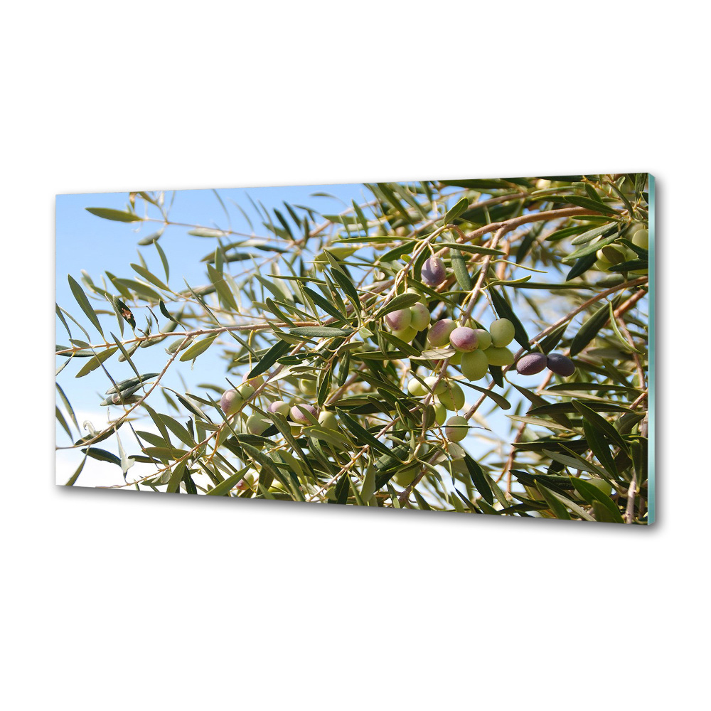 Cooker splashback Olive tree