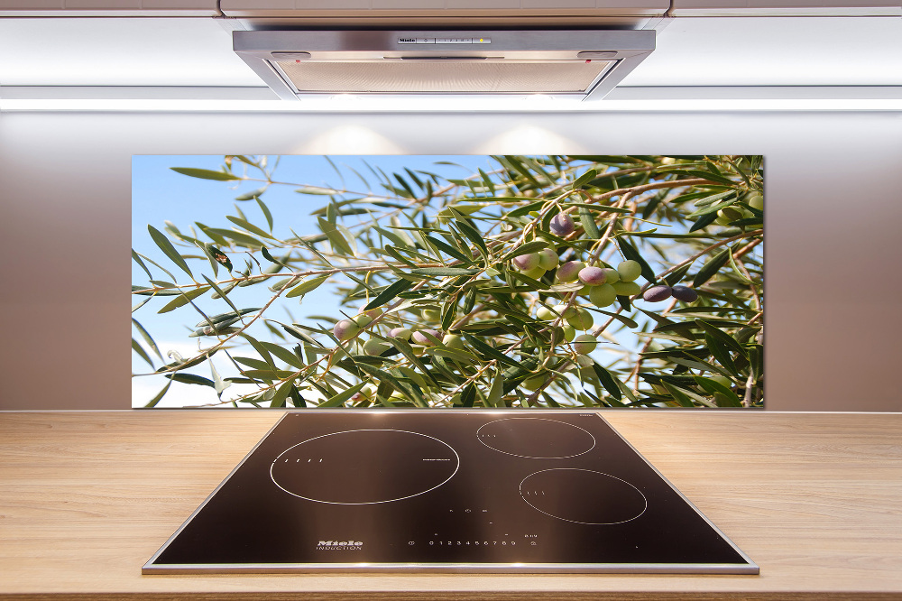 Cooker splashback Olive tree