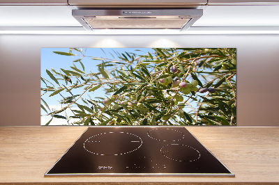 Cooker splashback Olive tree