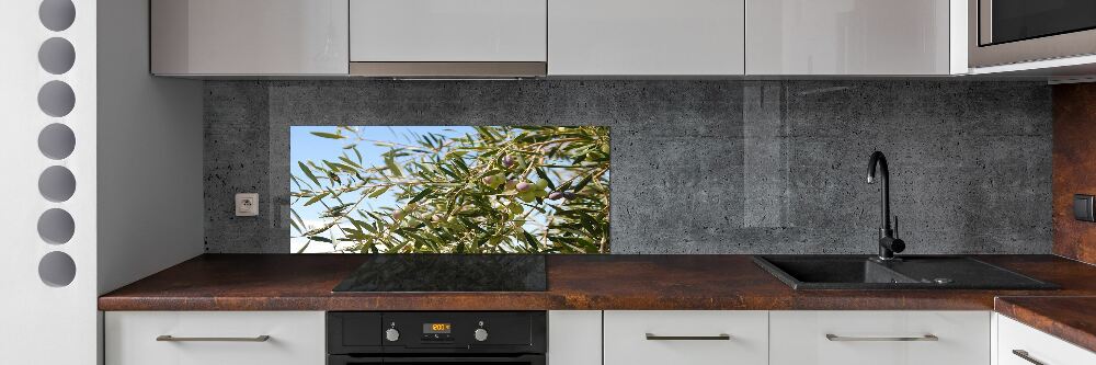 Cooker splashback Olive tree