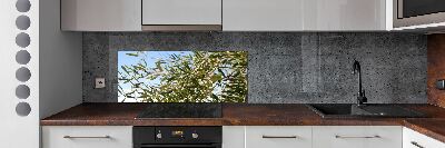 Cooker splashback Olive tree