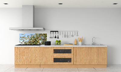 Cooker splashback Olive tree