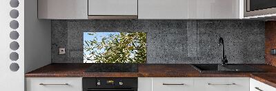 Cooker splashback Olive tree