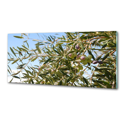 Cooker splashback Olive tree