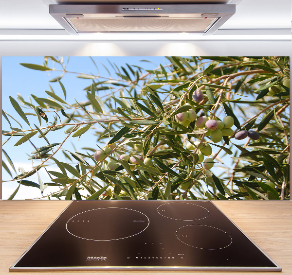 Cooker splashback Olive tree