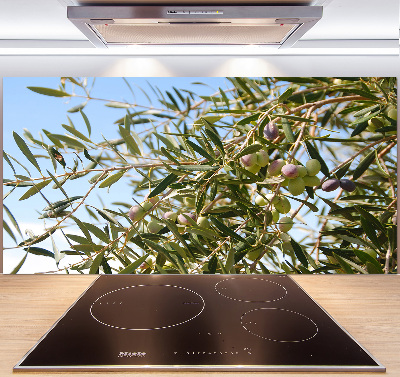 Cooker splashback Olive tree