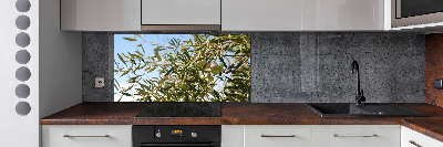 Cooker splashback Olive tree