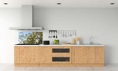 Cooker splashback Olive tree