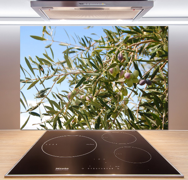 Cooker splashback Olive tree