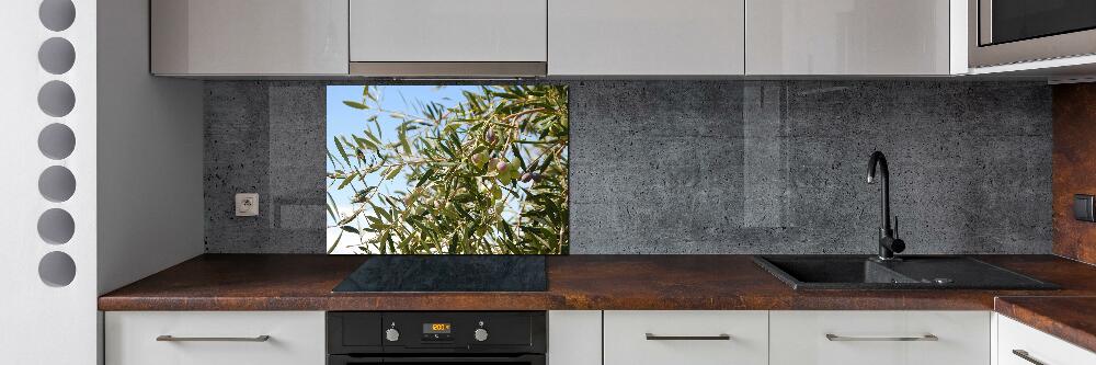 Cooker splashback Olive tree