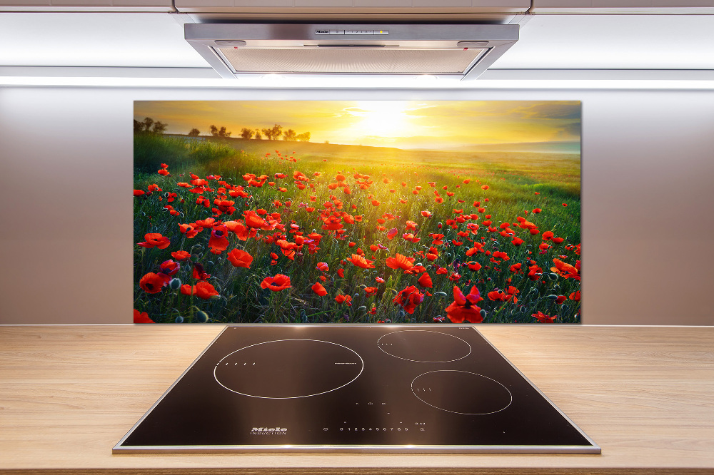 Cooker splashback Mak field