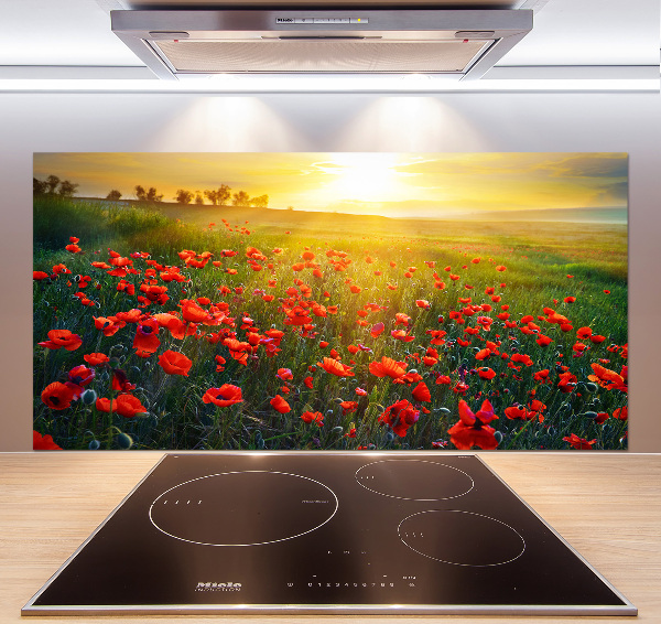 Cooker splashback Mak field