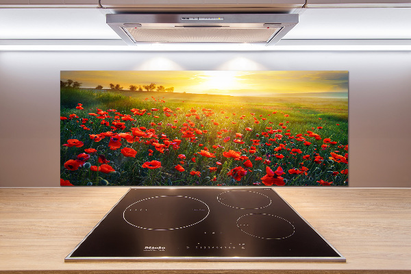 Cooker splashback Mak field