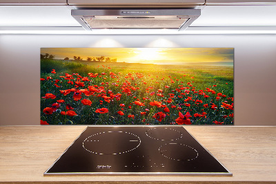 Cooker splashback Mak field