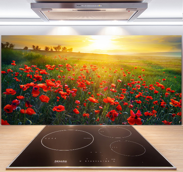 Cooker splashback Mak field