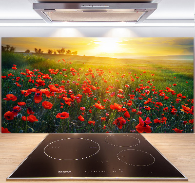 Cooker splashback Mak field