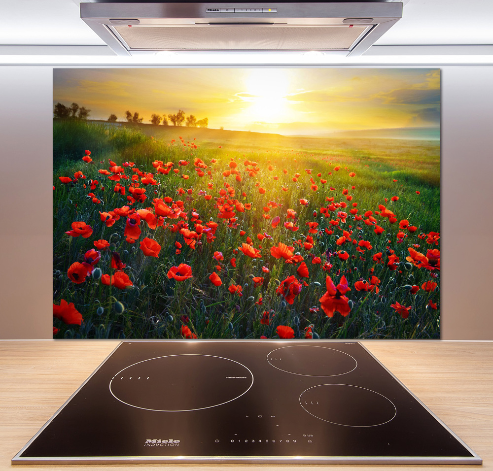 Cooker splashback Mak field