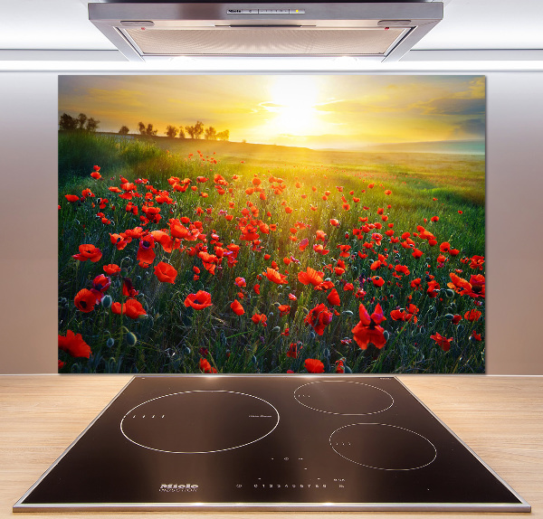 Cooker splashback Mak field