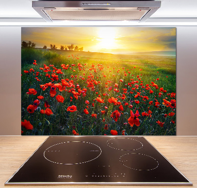 Cooker splashback Mak field